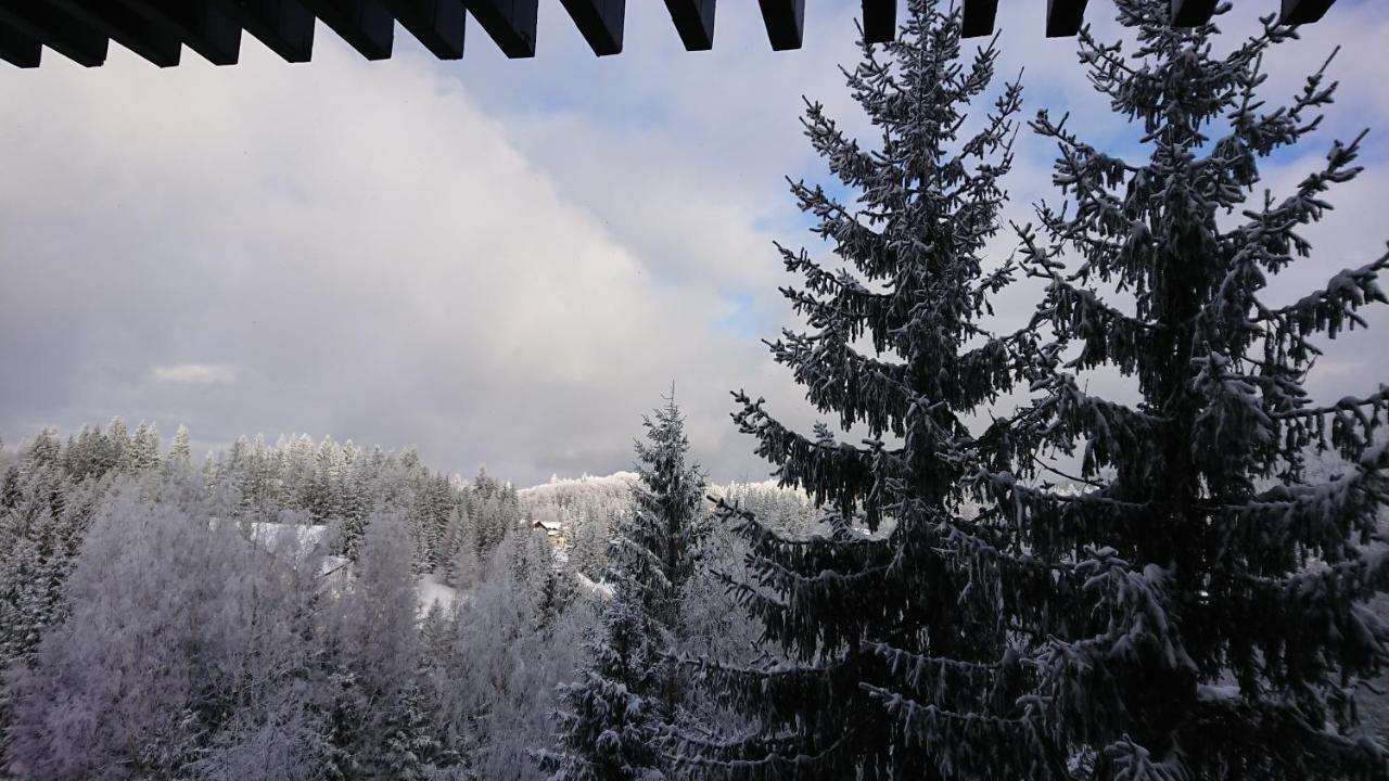Apartament 2706 Alpin Resort, Etaj 7, 波亚纳布拉索夫 外观 照片
