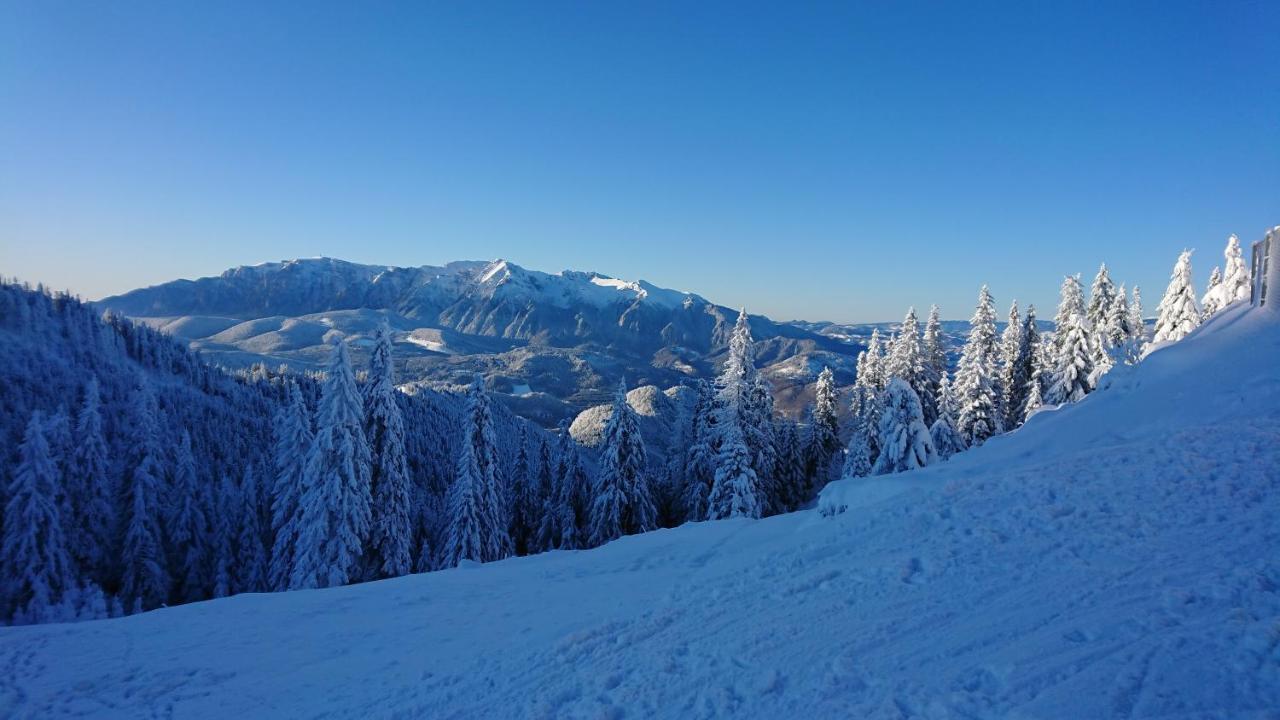 Apartament 2706 Alpin Resort, Etaj 7, 波亚纳布拉索夫 外观 照片