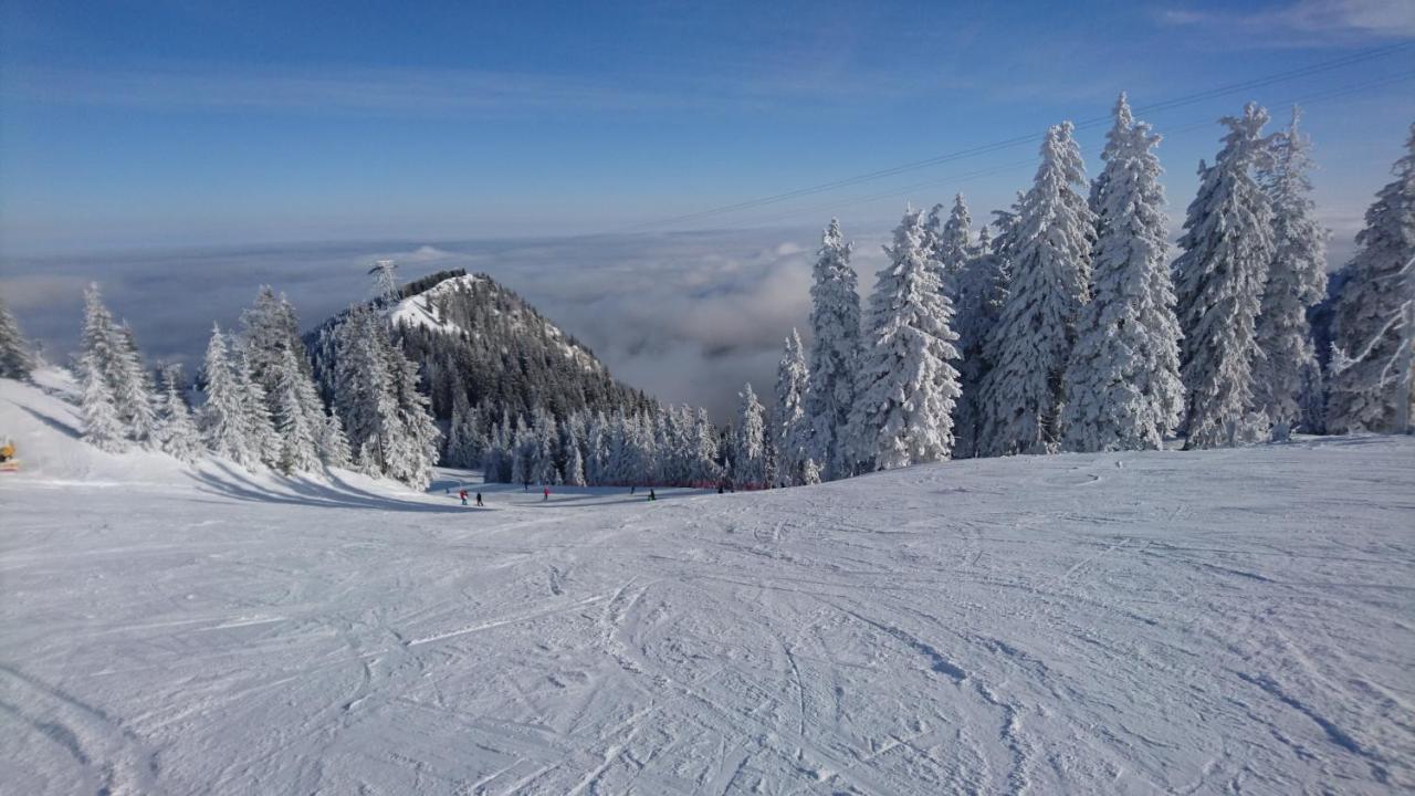 Apartament 2706 Alpin Resort, Etaj 7, 波亚纳布拉索夫 外观 照片